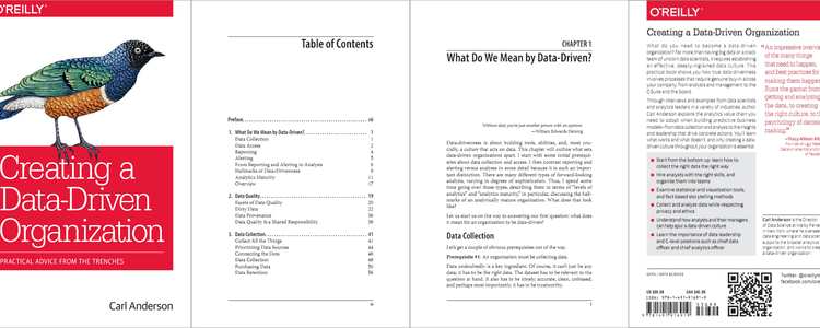 book cover Data-Driven Organization