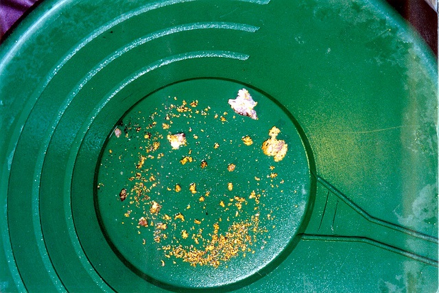 panning for gold