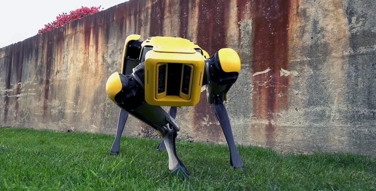 boston-dynamics-spot-mini